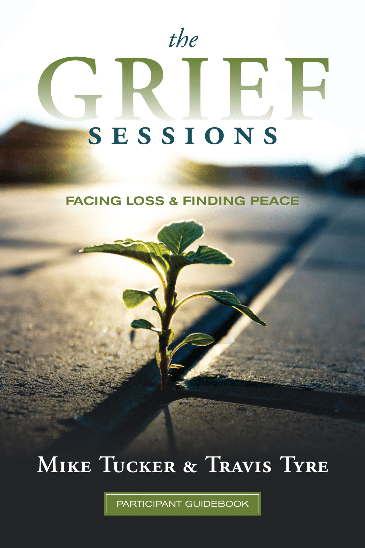The Grief Sessions Participant Guidebook